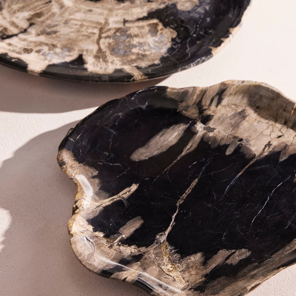 Balfern Petrified Wood Platter - Large - Listing - Image 3