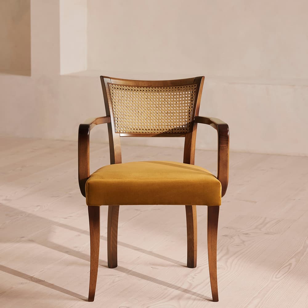 Molina Armchair - Cane Back - Velvet - Mustard - Listing - Image 3