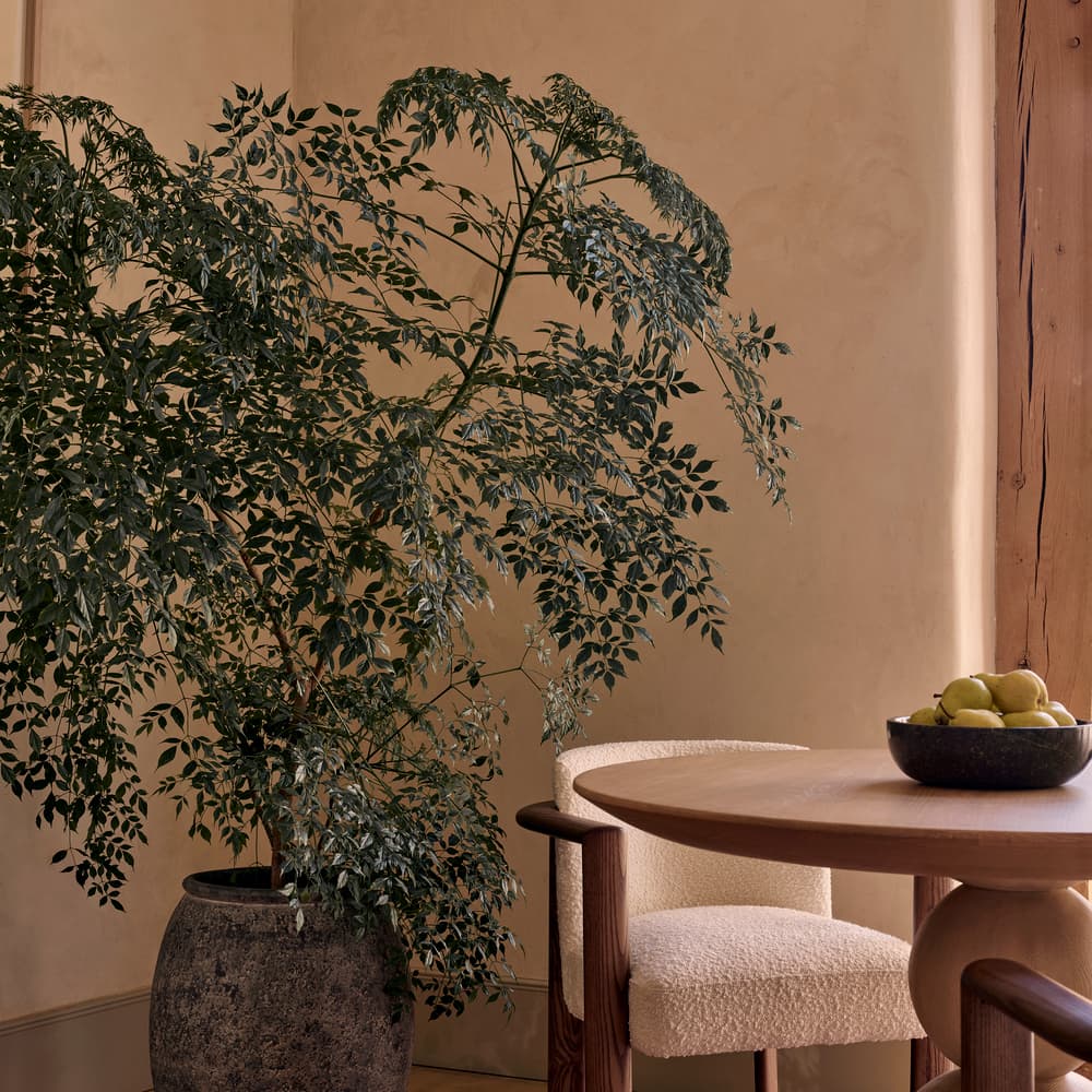 Renata Farmhouse Planter - Wide - Lifestyle - Image 3