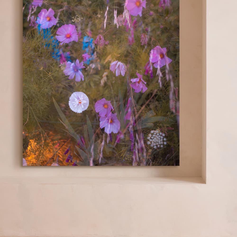 'Meadow #41' by Casey Moore - Images - Image 3