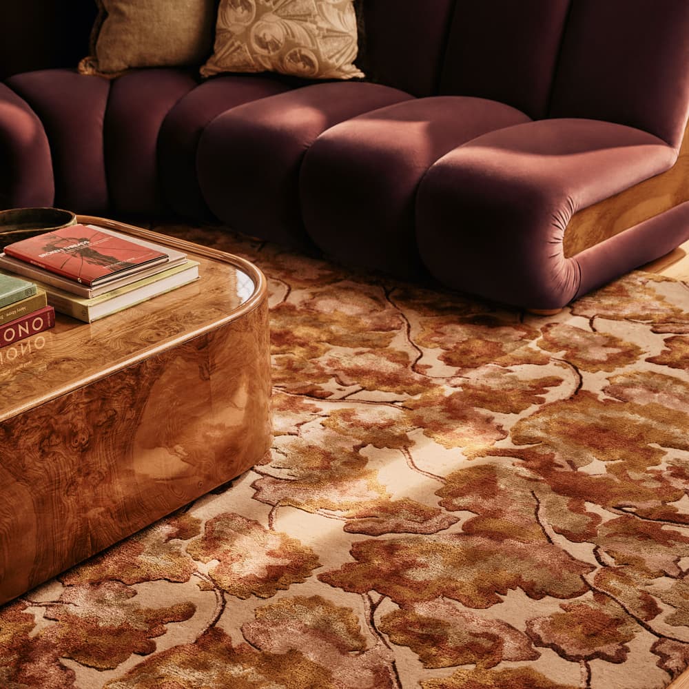 Oakley Rug - 170 x 240cm - Lifestyle - Image 3