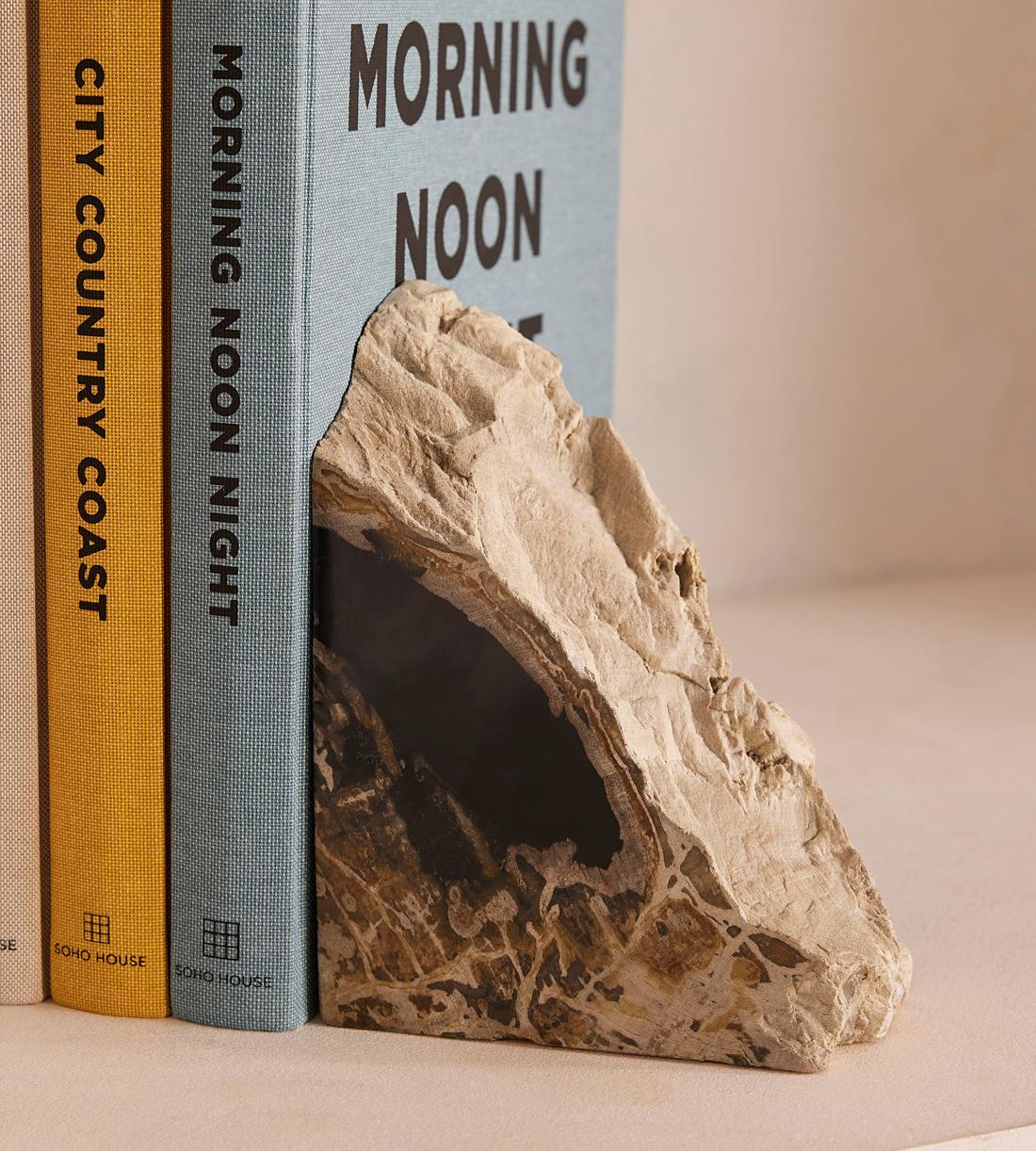 Balfern Petrified Wood Bookends - Images - Image 6