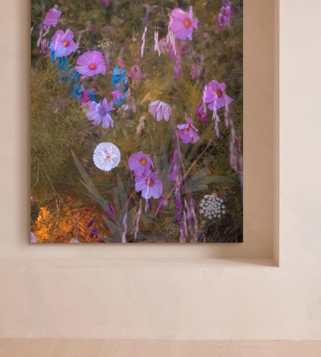 'Meadow #41' by Casey Moore - Images - Image 3