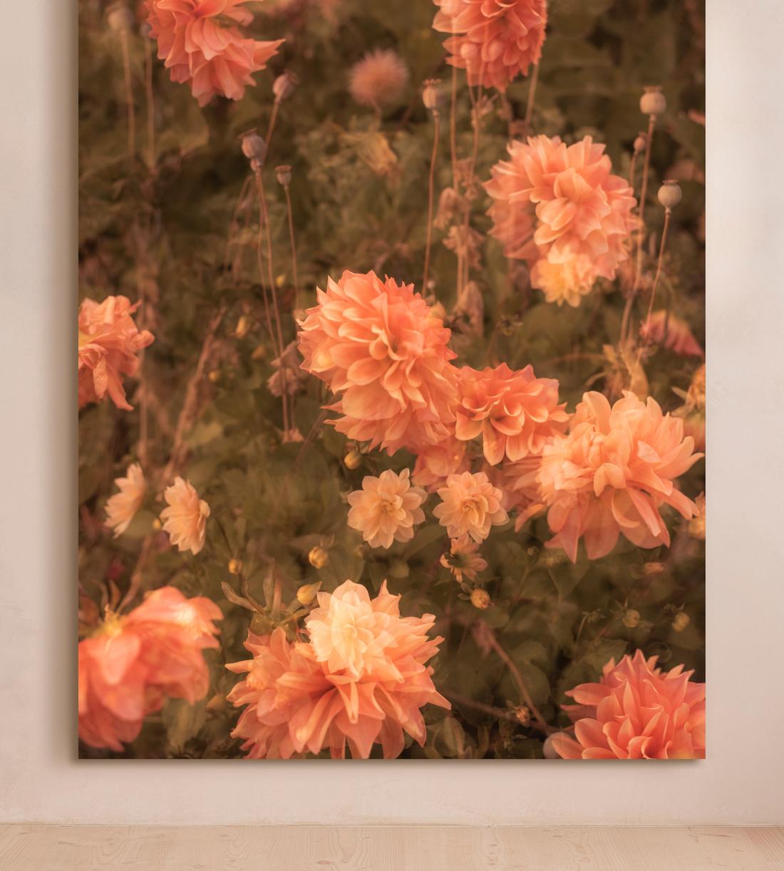 'Meadow #44' by Casey Moore - Listing - Image 1