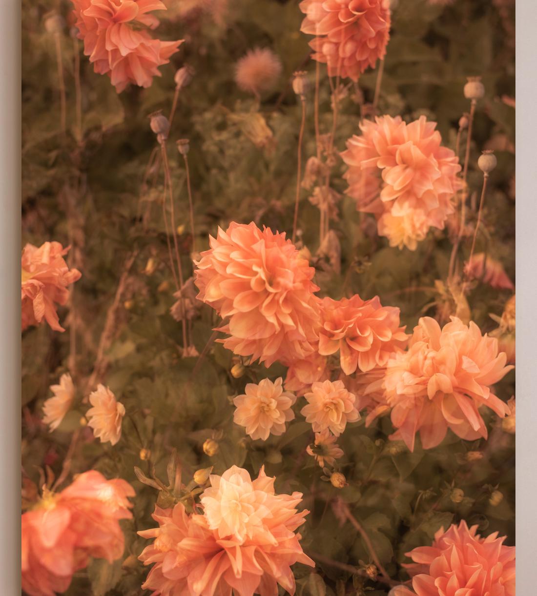 'Meadow #44' by Casey Moore - Listing - Image 2