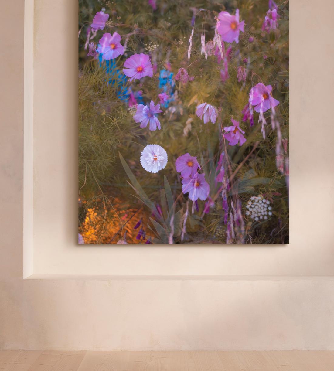 'Meadow #41' by Casey Moore - Images - Image 4