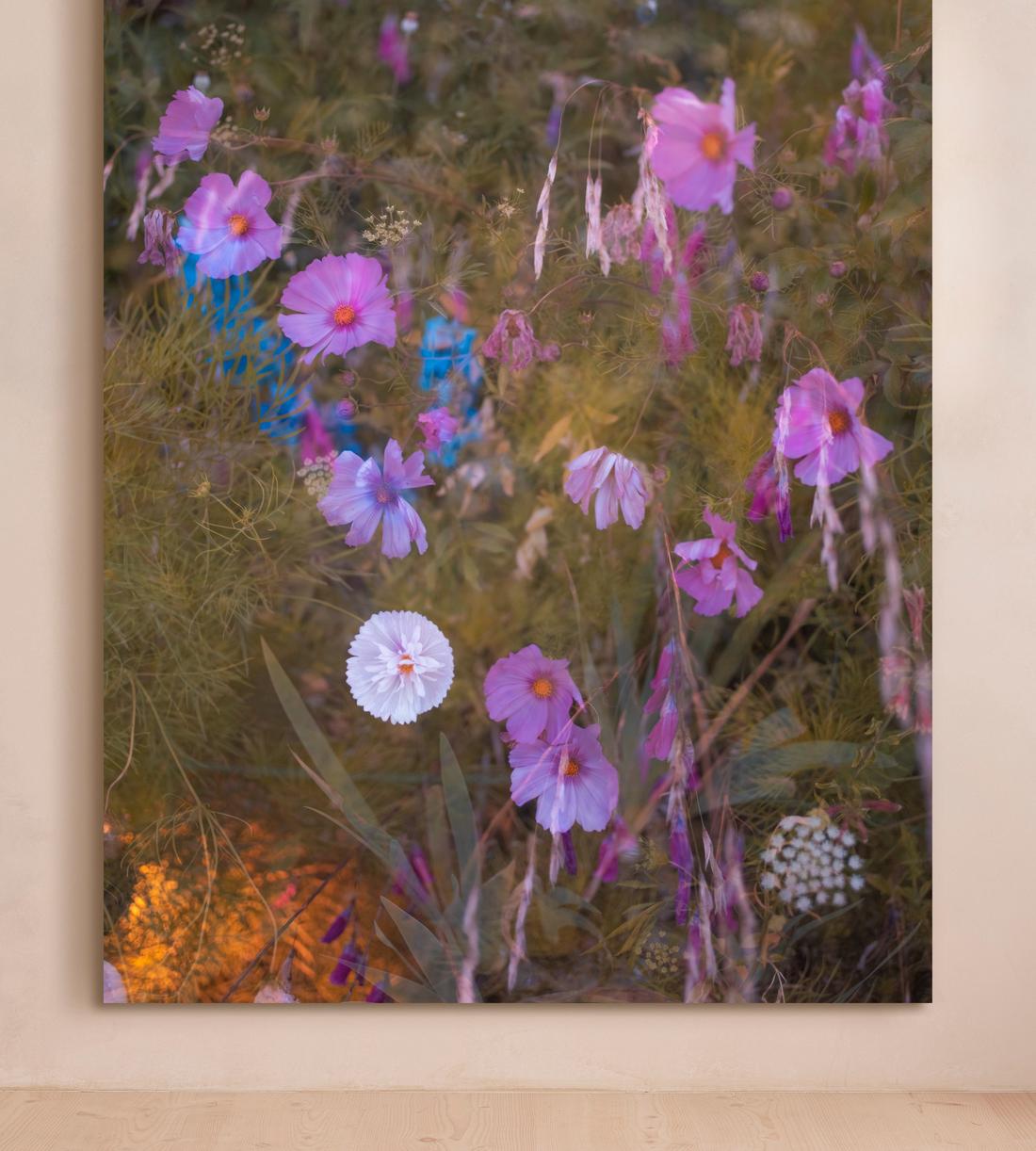 'Meadow #41' by Casey Moore - Listing - Image 1