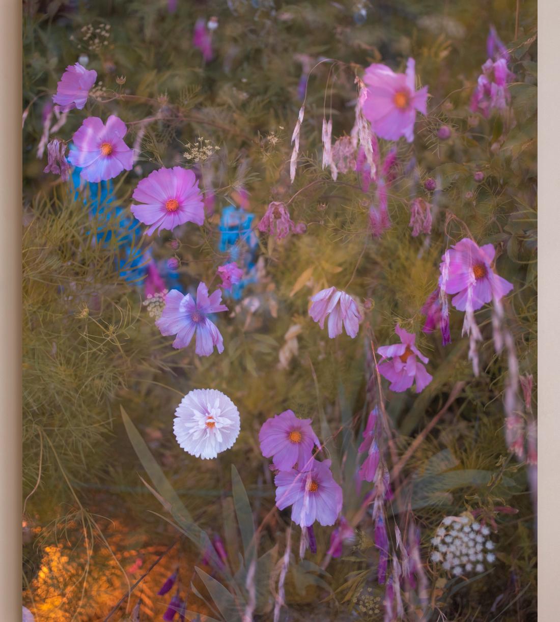 'Meadow #41' by Casey Moore - Listing - Image 2