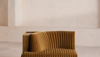 Velvet Mustard