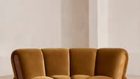Velvet Mustard