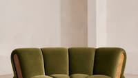 Velvet Olive