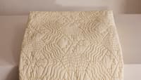 Cotton Cream