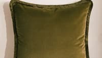 Velvet Olive