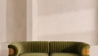 Velvet Olive