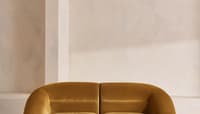 Velvet Mustard