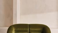 Velvet Olive