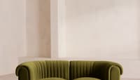Velvet Olive