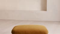 Velvet Mustard