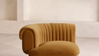 Velvet Mustard