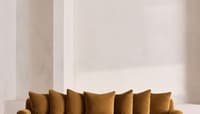 Velvet Mustard