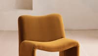 Velvet Mustard