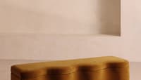 Velvet Mustard