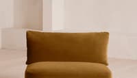 Velvet Mustard