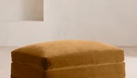 Velvet Mustard