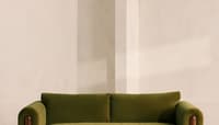 Velvet Olive