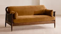 Velvet Mustard