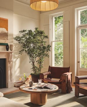 Reid Rug - Sage - 270 x 360cm - Hover Image