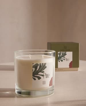 Limited Edition Bassett Pine Candle - 650g - Listing Image