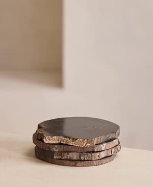 Balfern Petrified Wood Coasters - Black - Set of Four - Listing Image