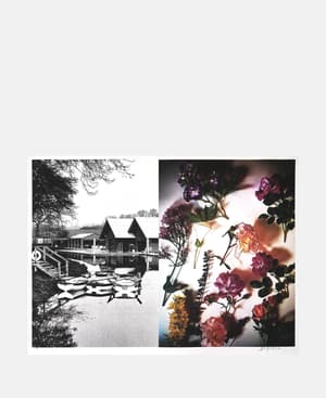 What does it take (to win your love) by Danny Augustine - Hover Image