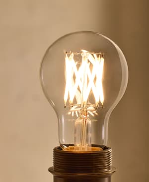 Tala 6W Globe LED E26 US - Hover Image