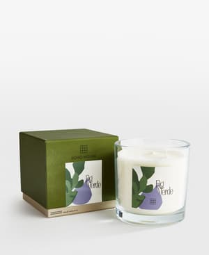 Limited Edition Bassett Fig Verde Candle - 650g - Listing Image