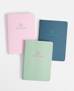 Anton Journals - Set of Three - Listing Image