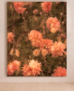 'Meadow #44' by Casey Moore - Listing Image