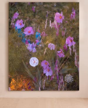 'Meadow #41' by Casey Moore - Listing Image