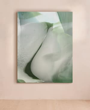 'Milktooth' by Fleur Simon - Listing Image
