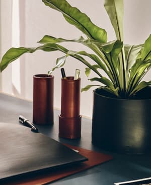 Paradise Row Plant Pot - Black - Listing Image