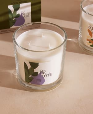 Limited Edition Bassett Fig Verde Candle - 650g - Hover Image