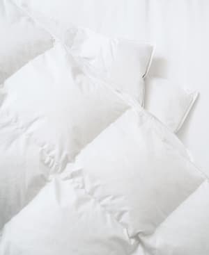 House Goose Down Duvet Emperor - All Seasons - Hover Image