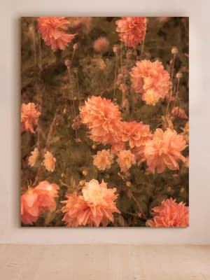 'Meadow #44' by Casey Moore - Listing Image