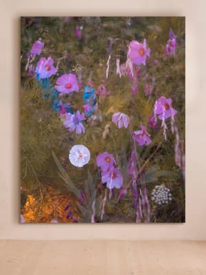 'Meadow #41' by Casey Moore - Listing Image