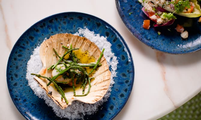 Scallop shell containing a seasoned scallop garnished with green herbs on a bed of white salt on a textured blue plate, alongside another blue plate with a mixed seafood salad.
