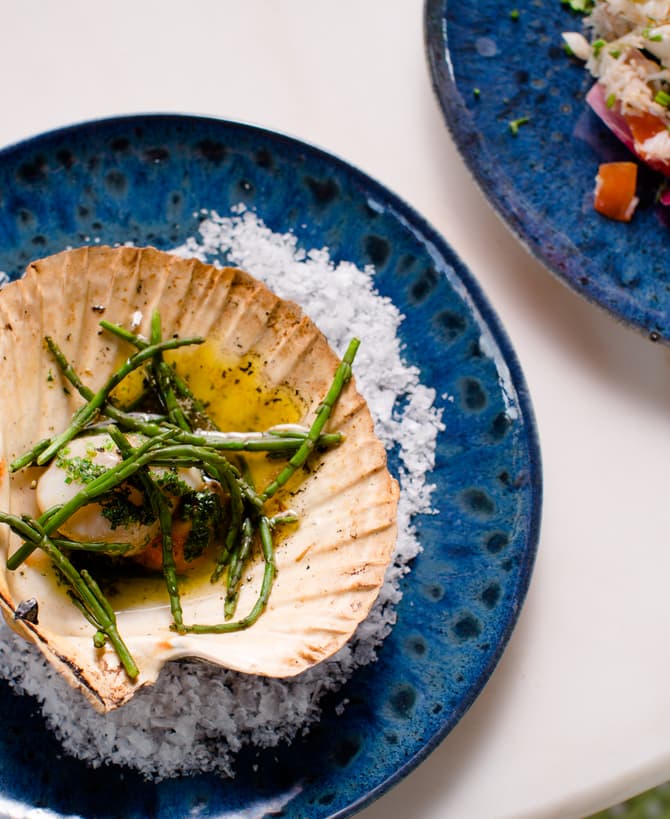 Scallop shell containing a seasoned scallop garnished with green herbs on a bed of white salt on a textured blue plate, alongside another blue plate with a mixed seafood salad.