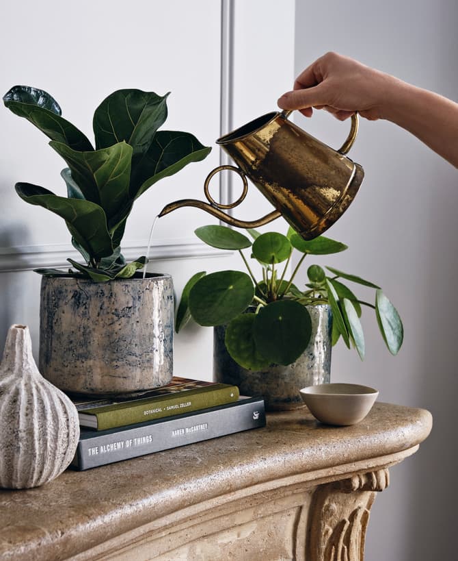 A hand waters two potted plants using a brass watering can resting on a stone surface, accompanied by books titled "Botanical" and "The Alchemy of Things" and a decorative object.