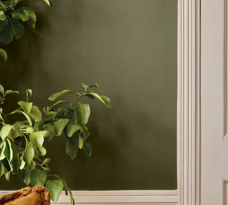 A leafy green plant extends its branches against an olive green wall, beside a white door frame. In the foreground, a rust-colored cushion rests on a white textured couch.