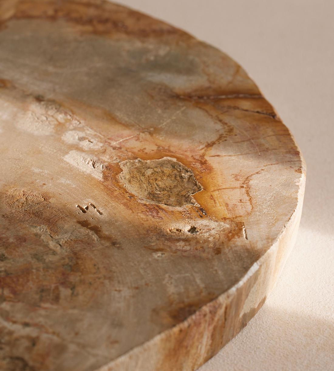 Vintage ＊ petrified wood tray Petrified Wood Serving Tray – TreeHause